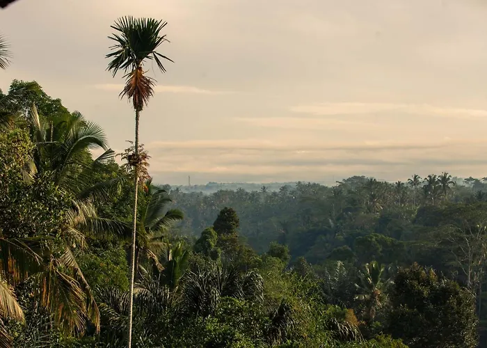 Campuhan Sebatu Hotel Tegallalang (Bali)